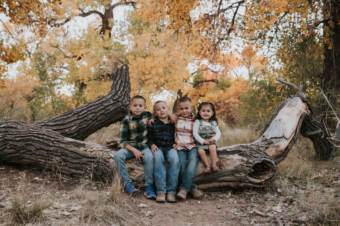 4 cousins sit on log.