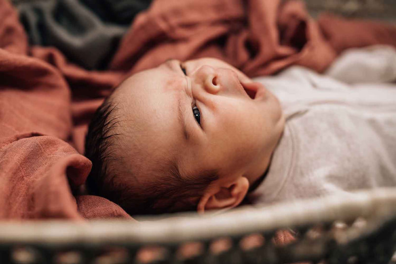 Small newborn yawning ontop of orange blanket in basket Albuquerque Newborn Photographer